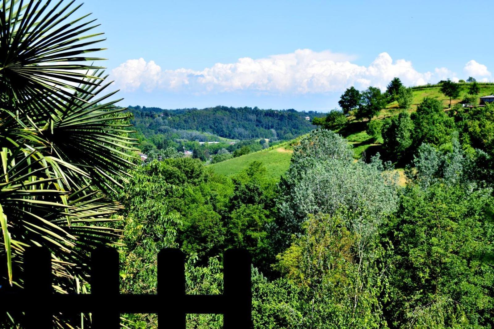 Appartamento In Monferrato Di Dominga Portacomaro Esterno foto