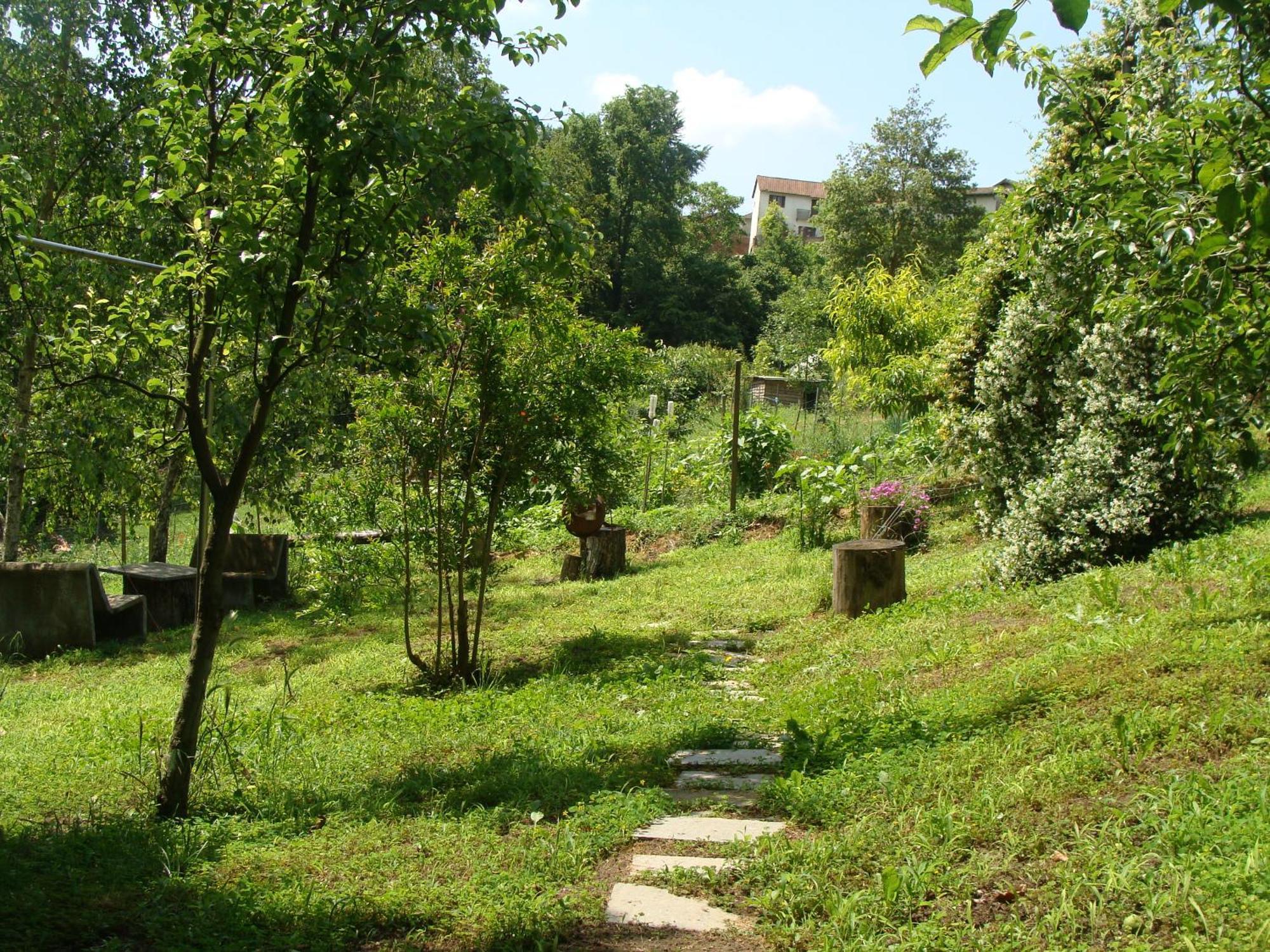 Appartamento In Monferrato Di Dominga Portacomaro Esterno foto