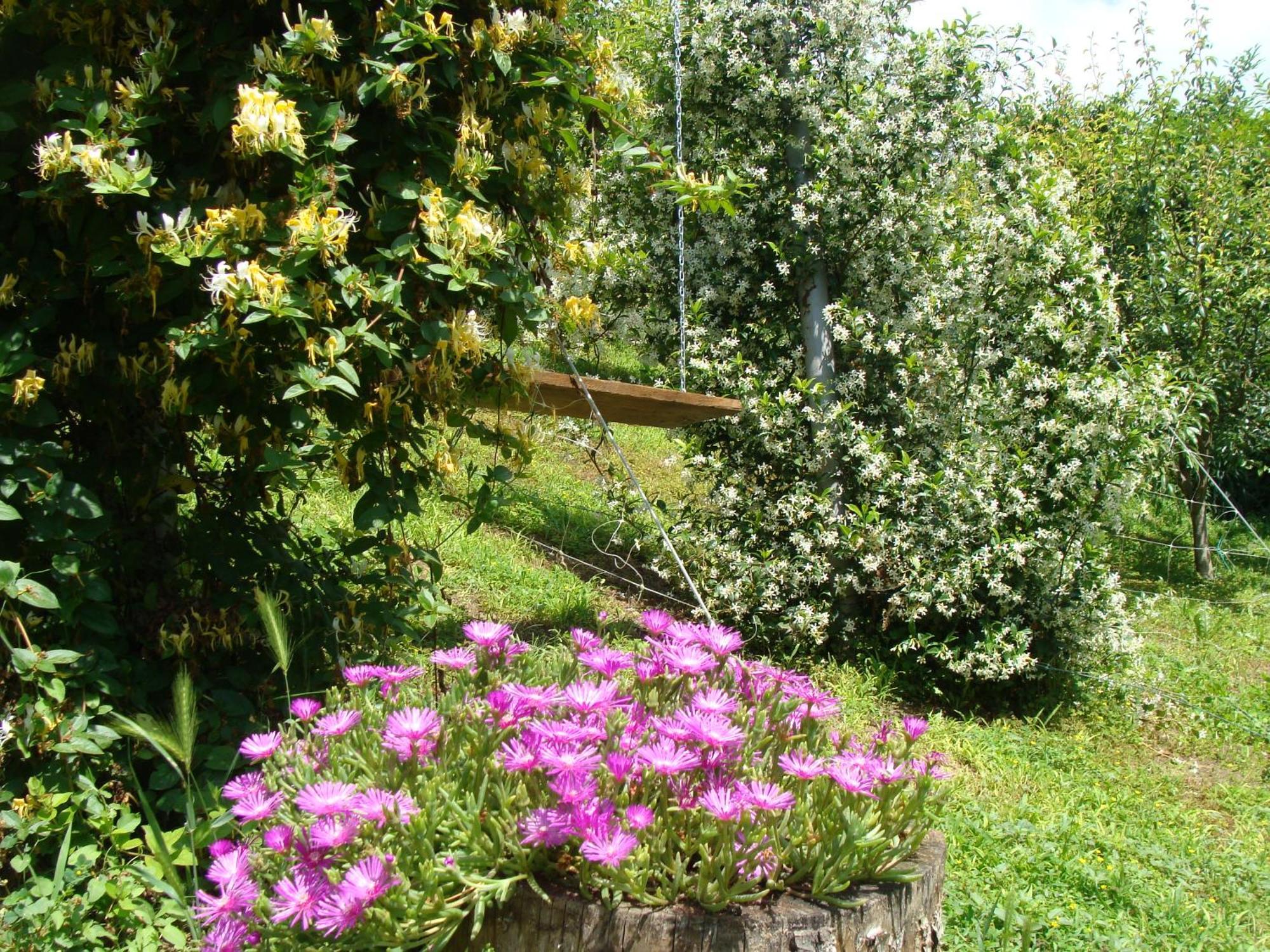 Appartamento In Monferrato Di Dominga Portacomaro Esterno foto
