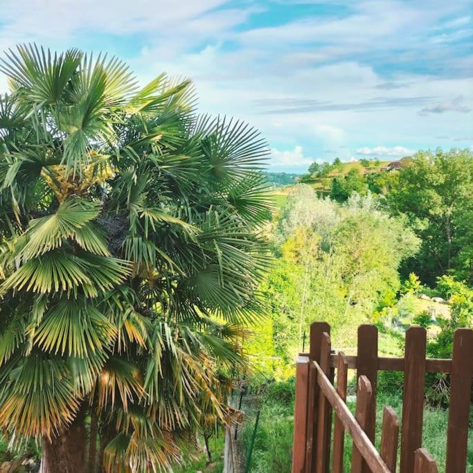 Appartamento In Monferrato Di Dominga Portacomaro Esterno foto
